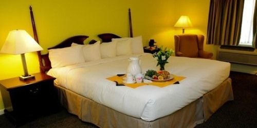The At & Conference Center 3*